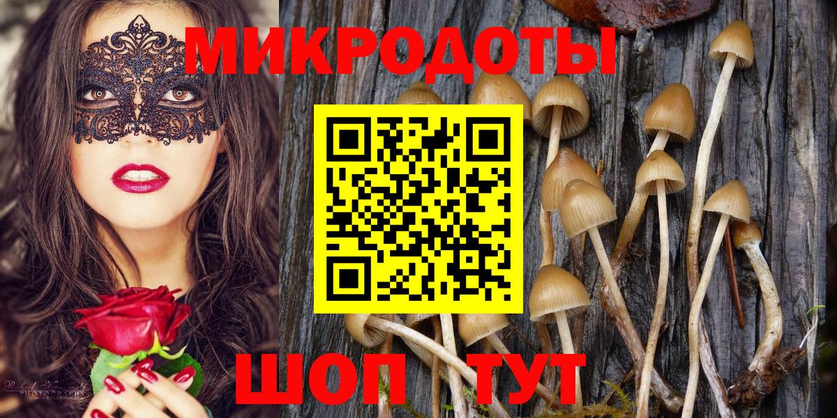 Галлюциногенные грибы Cubensis  Галлюциногенные грибы ЛСД  Камышин  даркнет сайт  Вход с VPN 