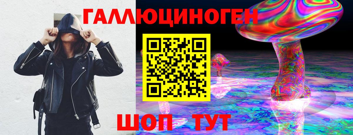 Галлюциногенные грибы Psilocybine cubensis Камышин