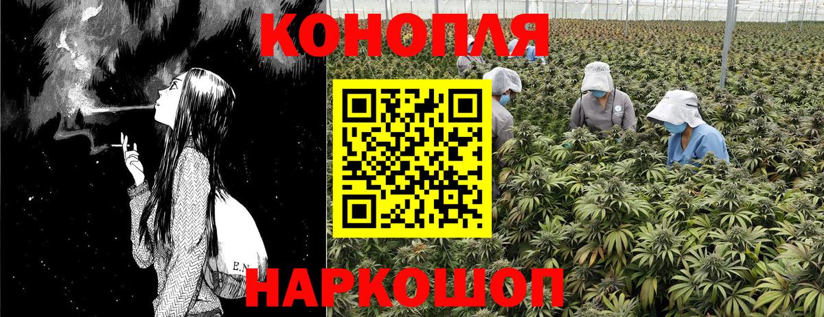 МАРИХУАНА сатива  Бошки Шишки OG Kush  Вход с VPN  Камышин 